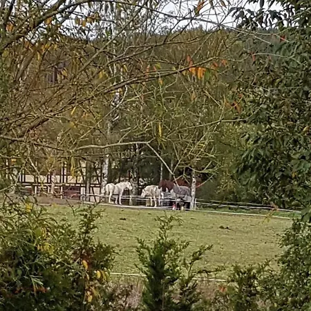 Holiday home Ferienhaeuser Andrea - Fh 09 - Haus Ostara Hasselfelde
